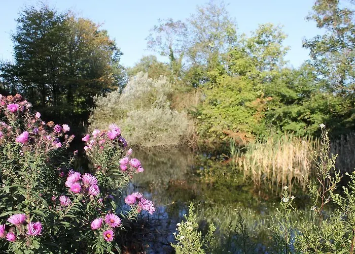 Les Roberderies 게스트하우스